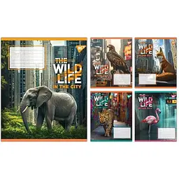 Зошит 1 Вересня A5 48 арк. клітинка YES The Wild in the City загальний (767768)