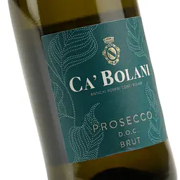 Вино ігристе Tenuta Ca'Bolani Prosecco Brut біле 11% 0.2 л - мініатюра 5