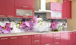 Кухонний фартух Пишні Орхідеї вінілова наклейка для кухні Квіти роса Рожевий 60х200 см Happy Pocket Z181385 - мініатюра 2