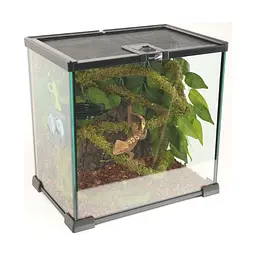 Ліана гнучка з натуральним мохом для тераріуму Repti-Zoo Artificial Moss Vine 1см x 2м (RV0210) - мініатюра 10
