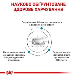 Сухий дієтичний корм для дорослих собак Royal Canin Anallergenic, 8 кг (40140801) - мініатюра 5