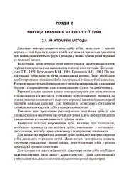 Основи клінічної морфології зубів - Рудольф Самусев - мініатюра 13