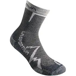 Шкарпетки La Sportiva Mountain Socks M Сірий LaSportiva (1052-29P900618 M)