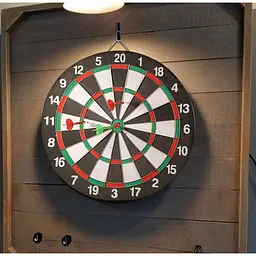 Дартс класичний Dartgame TI-0097 двосторонній, 43 см - мініатюра 2
