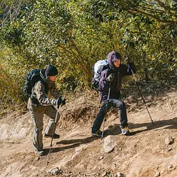 Трекінгова палиця 3-секційна Naturehike ST06 NH17D006-D, 60-120 см, біла - мініатюра 10