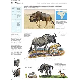 Encyclopedia of Animals - Олдертон Девід - мініатюра 5