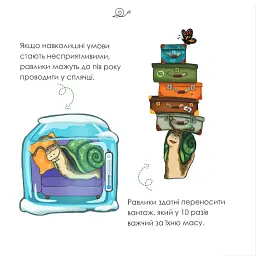 Равлик Павлик - Олена Держак - мініатюра 6