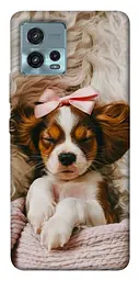 TPU чохол Demsky Sleepy spaniel для Motorola Moto G72