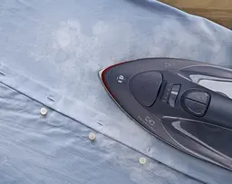 Праска з парою Electrolux E6SI1-4MN - мініатюра 3