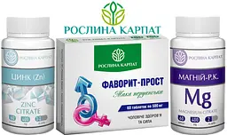 Програма для чоловічого здоров'я, Фаворит прост, Цинк, Магній Р.К "Рослина Карпат" - мініатюра 2