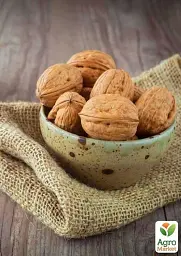 Саджанець Agro-Market Волоський горіх щеплений Franquette (французька селекція, середньостиглий термін дозрівання) 1 шт. в упаковці (42984) - мініатюра 4