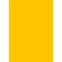 Папір для дизайну Folia Tintedpaper А4 (21x29.7см) №15 золотисто-жовтий 130г/м2 без текстури