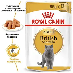 Набір вологого корму для дорослих кішок породи британська короткошерста Royal Canin British Shorthair Adult шматочки в підливі 1.02 кг (12 шт. х 85 г) - мініатюра 6