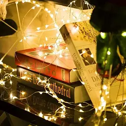 Універсальна гірлянда 5м Батарейка+USB тепле світло 300 LED ∙ Гірлянда Батарейка+USB лісочка 5м з 300 LED - мініатюра 5