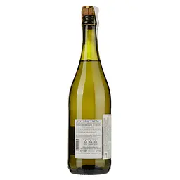 Вино ігристе Volpe di Bacco Monterosso Val D'Arda Frizzante біле сухе 0.75 л - мініатюра 2