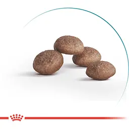 Сухий корм Royal Canin Ageing 11+ Strerilised для дорослих стерилізованих кішок та кастрованих котів 2 кг - мініатюра 2