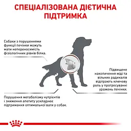 Сухий корм для дорослих собак Royal Canin Hepatic при захворюваннях печінки 12 кг - мініатюра 2