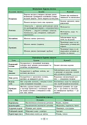 Довідник у таблицях. Біологія. 7–11 класи - мініатюра 3
