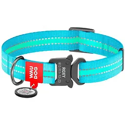 Нашийник для собак Waudog Nylon, світловідбивний, світлонакопичуючий, з QR паспортом, металева пряжка-фастекс, L, 31-49х2,5 см, блакитний