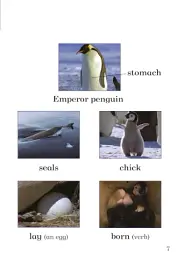 Ice Worlds. Ladybird Readers. Level 3 - мініатюра 3
