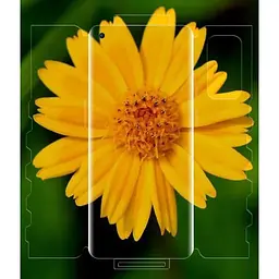 Захисна плівка DK HydroGel 360° Butterfly для OnePlus 9 clear - мініатюра 2