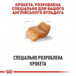 Сухий корм для дорослих собак породи Бульдог Royal Canin Bulldog Adult 12 кг (2590120) - мініатюра 4