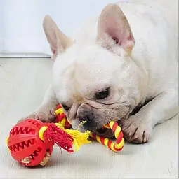 Іграшка для собак Derby Rubber Dog Chew Toy with Rope - мініатюра 2