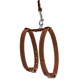 Шлея для собак з повідцем Collar, шкіра, для міні порід, 27-35х35-45х1,4 см/122 см, коричневий (5476) - мініатюра 2