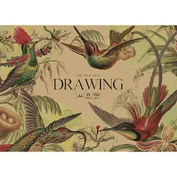Папір Muse Drawing в папці А4 25 аркушів (PD-A4-069)