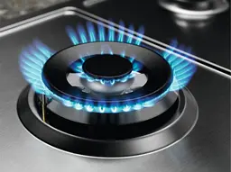 Варильна поверхня газова Electrolux 60 см чавун нержавіюча сталь - мініатюра 3