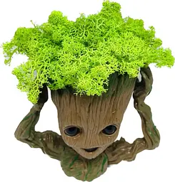 Кашпо горщик зі стабілізованим мохом Грут Groot G4 - мініатюра 4