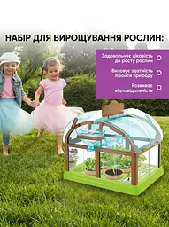 Дитячий набір для вирощування рослин з насінням: Домашня міні-теплиця, 6 видів насіння та інструменти, зелений (4805048197) - мініатюра 4