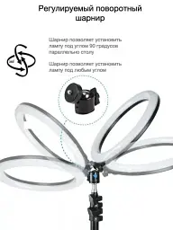 Кільцева LED лампа YQ-320B (30см) з утримувачем телефону для бьюті селфі зйомки Ring Light - мініатюра 4