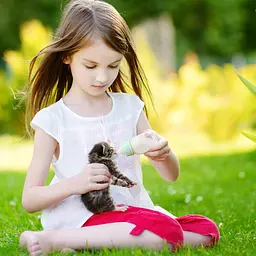 Набір для годування щенят: Молочна суміш Markus-Muhle Puppy Milk + пляшка Pet Nursing Bottle Kit - мініатюра 7