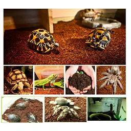 Тропічний субстрат Komodo Tropical Terrain 6 л (U46015) для терраріумів із високою вологістю - мініатюра 3