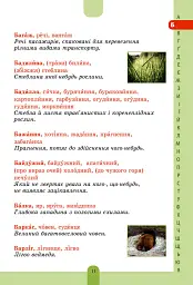 Ілюстрований словник-помічник з української мови. 1-4 класи - мініатюра 10
