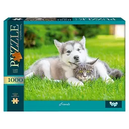 Пазли 1000 елементів, серія 13 №5 Friends DANKO TOYS C1000-13-05