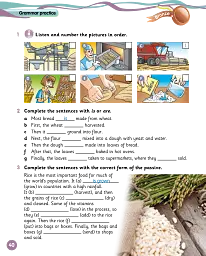 Grammar Goals. Level 5. Pupil's Book Pack - Анджела Лланас - мініатюра 5