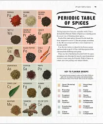 The Science of Spice - мініатюра 4
