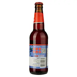 Напій Mikki Brew Kombucha Blueberry 0.35 л - мініатюра 2