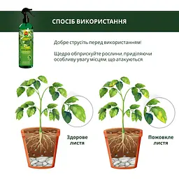 Рідке добриво COMPO для декоративно-листяних рослин 0.5 л - мініатюра 8