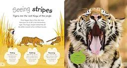The Incredible Fold-Out Book of Animals - мініатюра 5