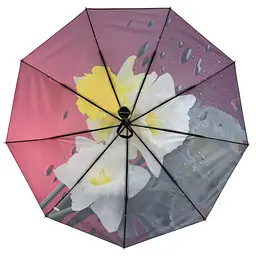 Жіноча парасолька автомат Rain acs0027870 - мініатюра 4