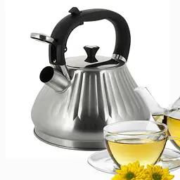 Чайник із свистком Kamille KM-0859 3.0 л - мініатюра 2