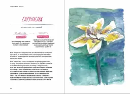 Сила твоєї історії. Звільни свій внутрішній голос / Ель Луна, Сьюзі Геррік - мініатюра 9