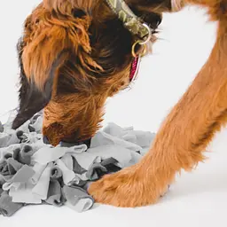 Килимок для нюхання для собак Derby Raccoon Shape Pet Snuffle Mat - мініатюра 6