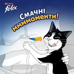 Набір вологий корм для дорослих котів Felix cмачні моменти додатковий з куркою 4 шт. х 10 г - мініатюра 5