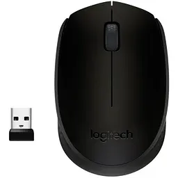 Мишка Logitech M171 Black (910-004424)