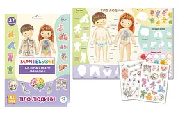 Навчальний постер з наклейками Тіло людини Dodo 300901 Різнокольоровий shop (4823115913456)