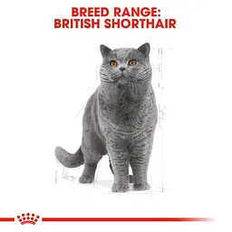 Сухий корм для британських короткошерстих дорослих котів Royal Canin British Shorthair Adult з м'ясом птиці 10 кг - мініатюра 3